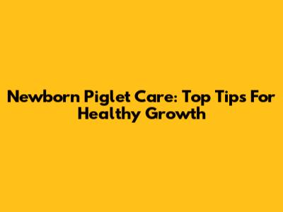Newborn Piglet Care: Top Tips For Healthy Growth