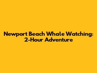 Newport Beach Whale Watching: 2-Hour Adventure