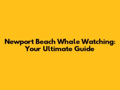 Newport Beach Whale Watching: Your Ultimate Guide
