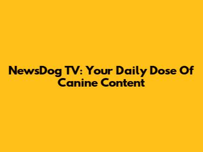 NewsDog TV: Your Daily Dose Of Canine Content