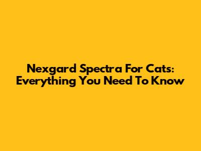 Nexgard Spectra For Cats: Everything You Need To Know
