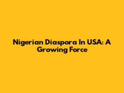 Nigerian Diaspora In USA: A Growing Force