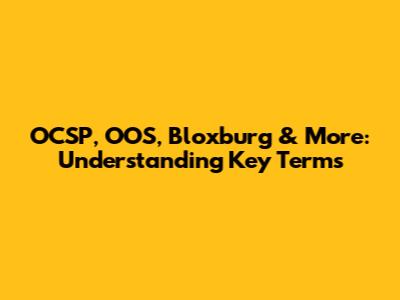 OCSP, OOS, Bloxburg & More: Understanding Key Terms
