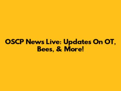 OSCP News Live: Updates On OT, Bees, & More!