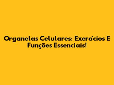 Organelas Celulares: Exercícios E Funções Essenciais!
