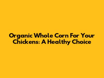 Organic Whole Corn For Your Chickens: A Healthy Choice