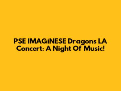 PSE IMAGiNESE Dragons LA Concert: A Night Of Music!