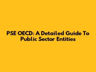 PSE OECD: A Detailed Guide To Public Sector Entities