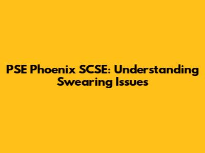 PSE Phoenix SCSE: Understanding Swearing Issues