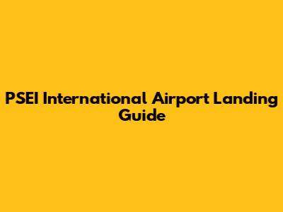 PSEI International Airport Landing Guide