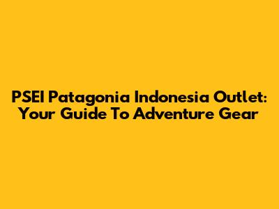 PSEI Patagonia Indonesia Outlet: Your Guide To Adventure Gear