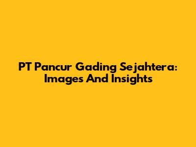 PT Pancur Gading Sejahtera: Images And Insights