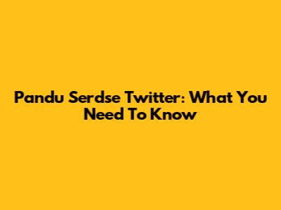 Pandu Serdse Twitter: What You Need To Know