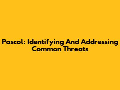 Pascol: Identifying And Addressing Common Threats