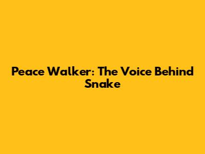 Peace Walker: The Voice Behind Snake