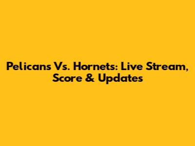 Pelicans Vs. Hornets: Live Stream, Score & Updates