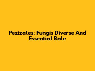 Pezizales: Fungi's Diverse And Essential Role