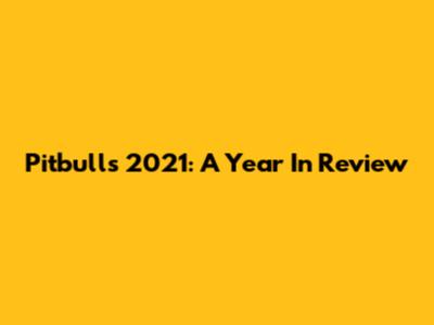 Pitbull's 2021: A Year In Review