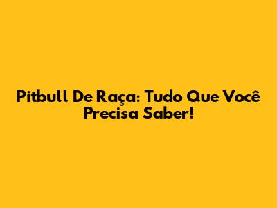 Pitbull De Raça: Tudo Que Você Precisa Saber!