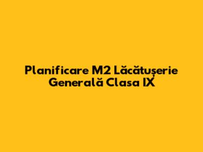 Planificare M2 Lăcătușerie Generală Clasa IX