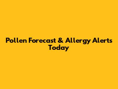 Pollen Forecast & Allergy Alerts Today