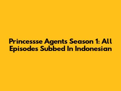Princessse Agents Season 1: All Episodes Subbed In Indonesian