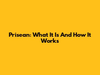Prisean: What It Is And How It Works
