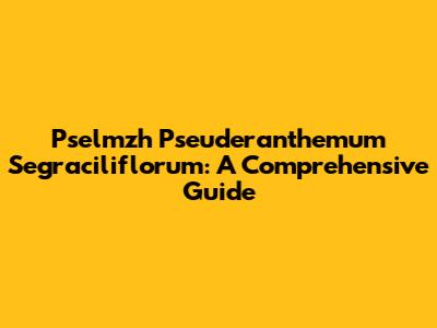Pselmzh Pseuderanthemum Segraciliflorum: A Comprehensive Guide