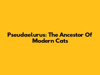 Pseudaelurus: The Ancestor Of Modern Cats