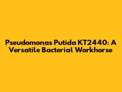 Pseudomonas Putida KT2440: A Versatile Bacterial Workhorse