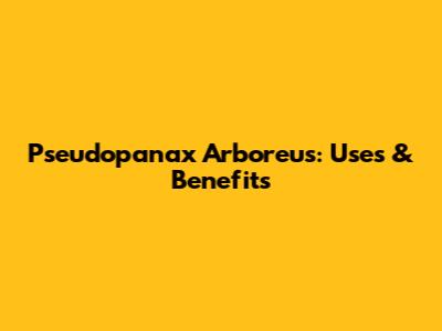 Pseudopanax Arboreus: Uses & Benefits