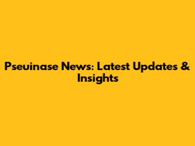 Pseuinase News: Latest Updates & Insights