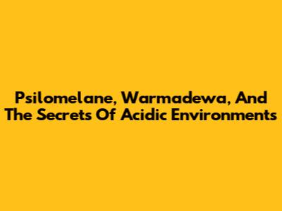 Psilomelane, Warmadewa, And The Secrets Of Acidic Environments