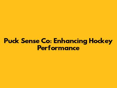 Puck Sense Co: Enhancing Hockey Performance