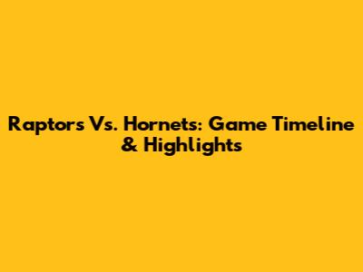 Raptors Vs. Hornets: Game Timeline & Highlights
