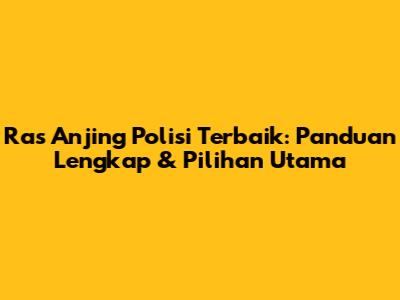 Ras Anjing Polisi Terbaik: Panduan Lengkap & Pilihan Utama