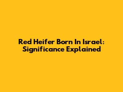 Red Heifer Born In Israel: Significance Explained