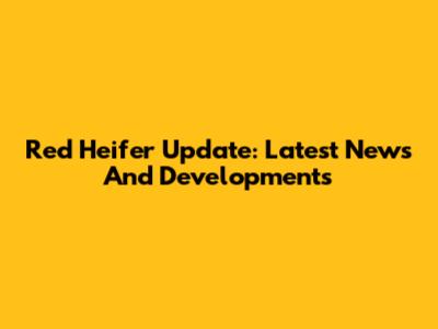 Red Heifer Update: Latest News And Developments