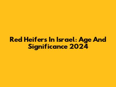 Red Heifers In Israel: Age And Significance 2024
