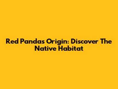 Red Panda's Origin: Discover The Native Habitat