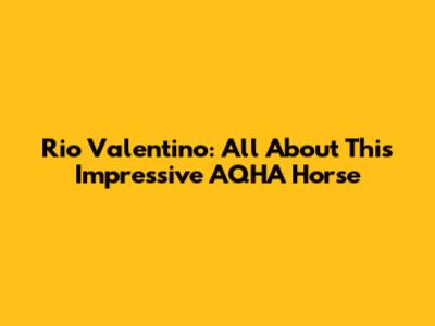 Rio Valentino: All About This Impressive AQHA Horse