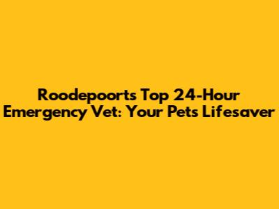 Roodepoort's Top 24-Hour Emergency Vet: Your Pet's Lifesaver