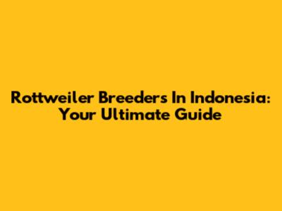 Rottweiler Breeders In Indonesia: Your Ultimate Guide