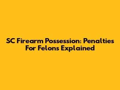 SC Firearm Possession: Penalties For Felons Explained