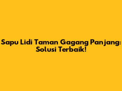 Sapu Lidi Taman Gagang Panjang: Solusi Terbaik!