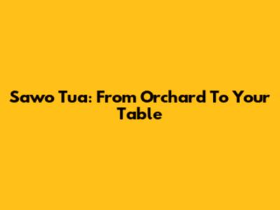 Sawo Tua: From Orchard To Your Table