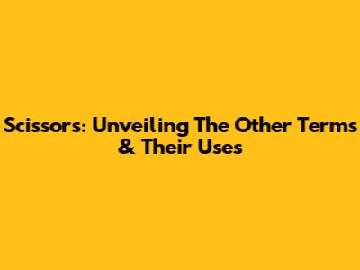Scissors: Unveiling The Other Terms & Their Uses