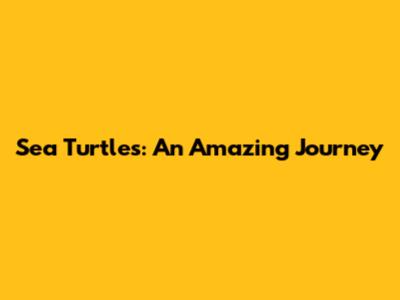 Sea Turtles: An Amazing Journey