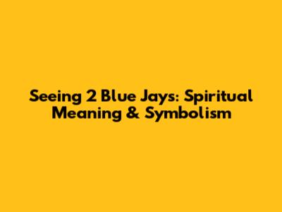 Seeing 2 Blue Jays: Spiritual Meaning & Symbolism