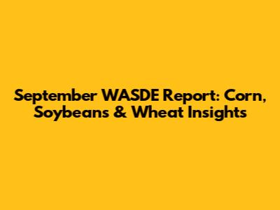 September WASDE Report: Corn, Soybeans & Wheat Insights